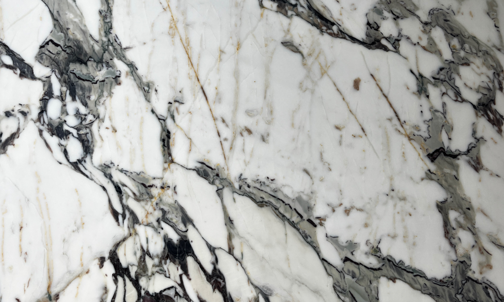 Breccia Capraia Marble